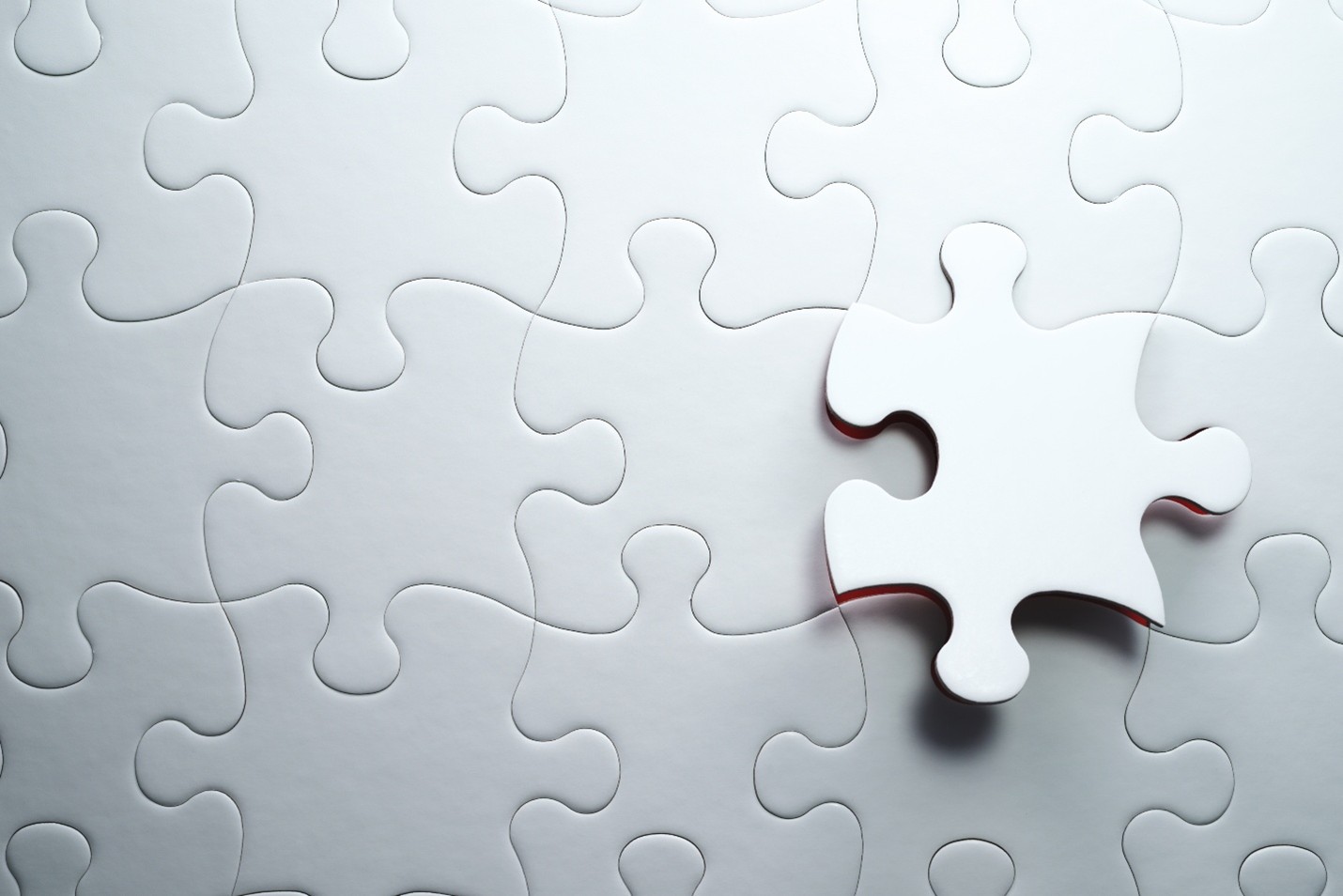 Puzzle Piece